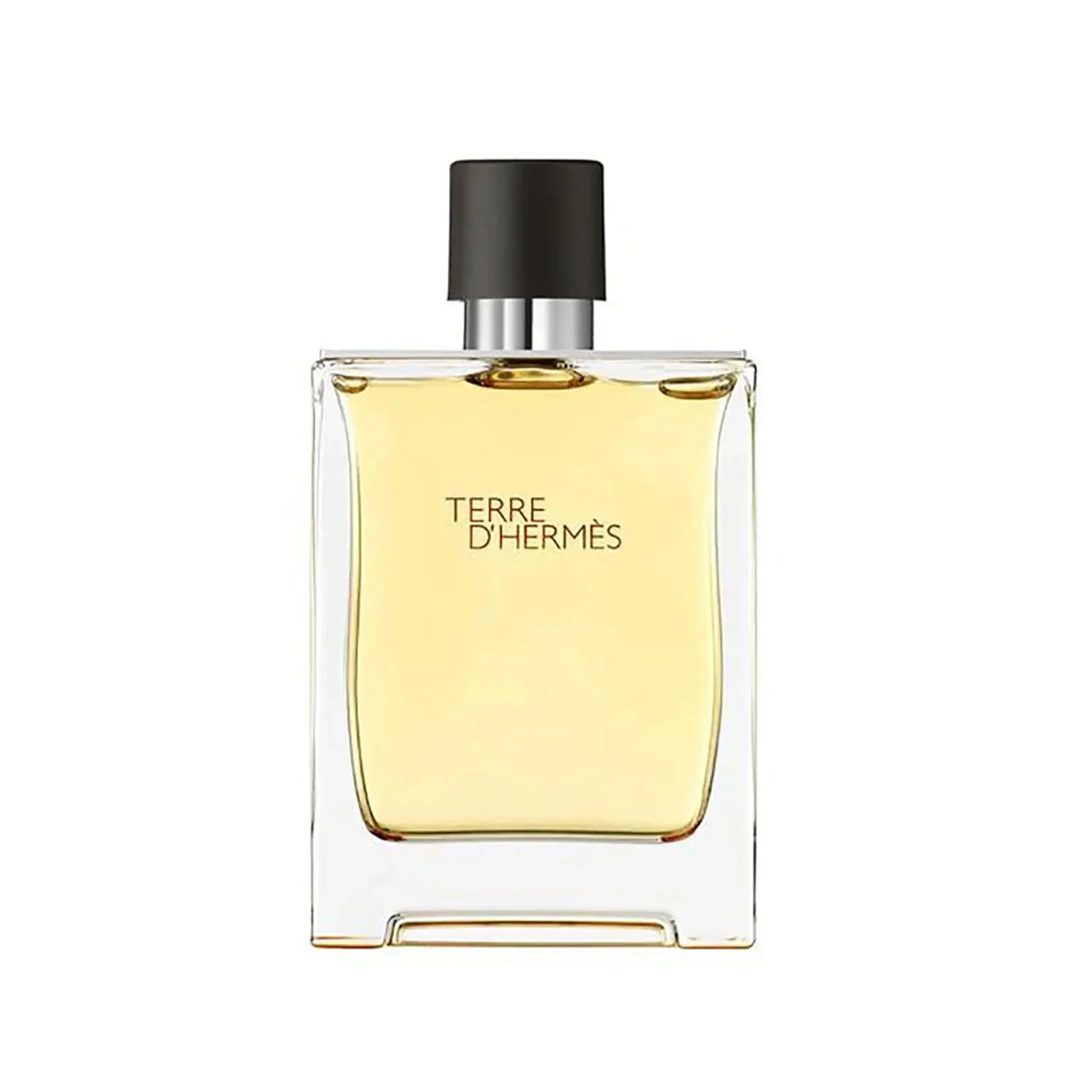 1_83a1db6e-02cb-480b-89ee-f967e0fb5445_1800x1800 Terre d’Hermès Eau de Toilette 100ml - Image 1